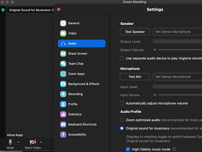 Step 3 screenshot for setting up audio for desktops and laptops before logging into zoom