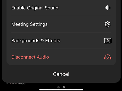 Step 5 screenshot for setting up audio for phones