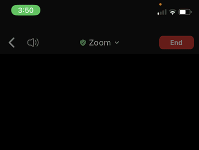 Step 6 screenshot for setting up audio for phones