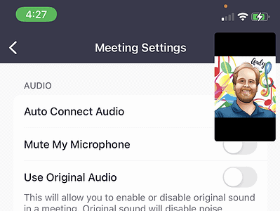Step 9 screenshot for setting up audio for phones