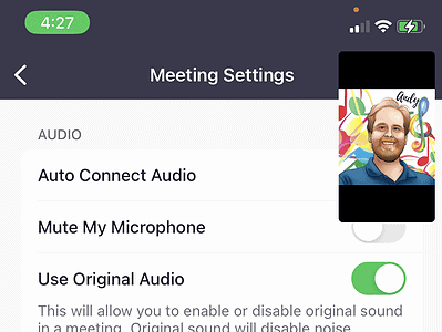 Step 10 screenshot for setting up audio for phones